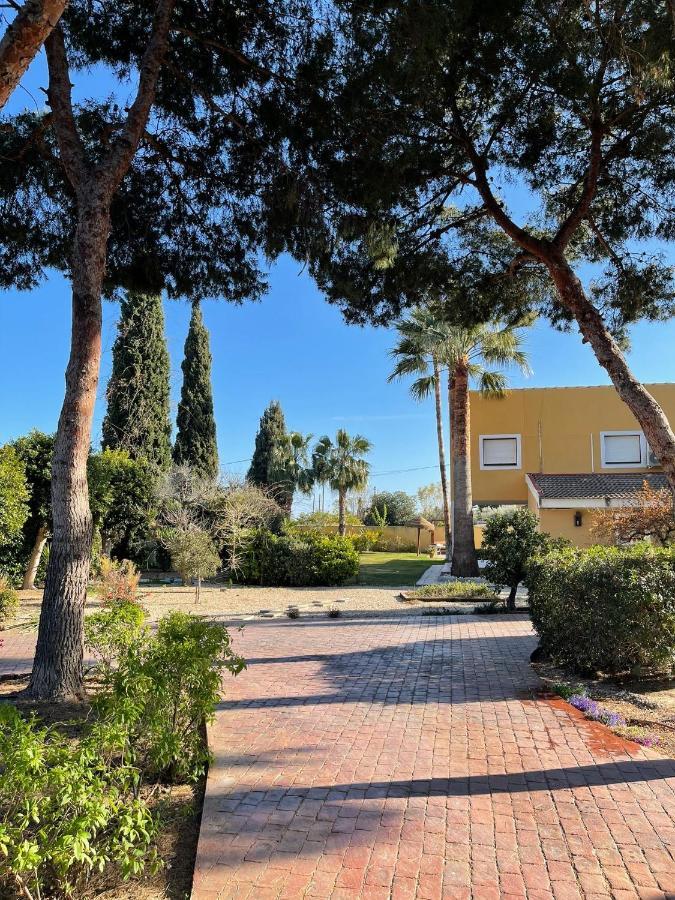 ***Chalet Alicante*** Experiencia Unica Exteriör bild